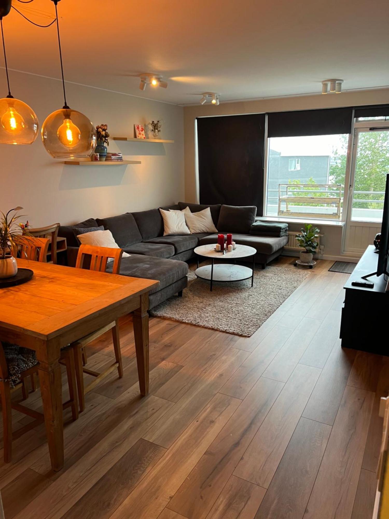 Viggsson Apartment 레이캬비크 외부 사진
